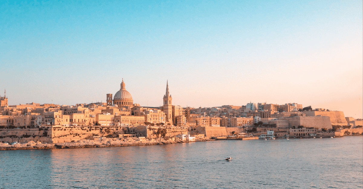 insight featured image