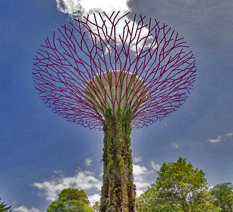 World Economic Forum: blockchain is key to sustainable digital finance