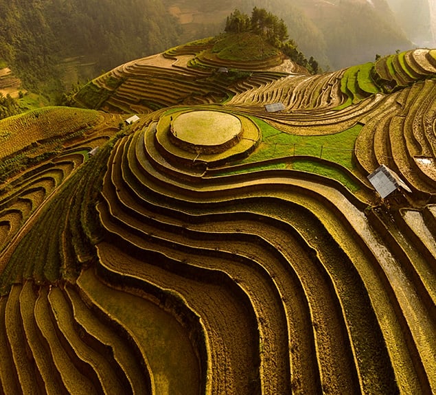 When did it all start?