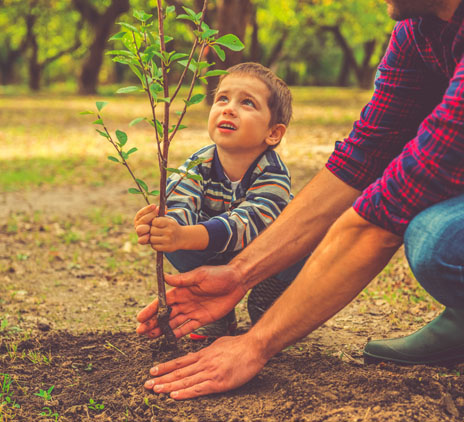 Taking action on World Earth Day