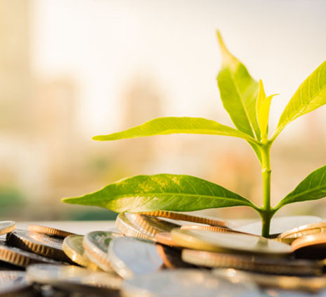 Sustainable finance in Malta: MSE Green Market launched
