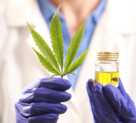 How to obtain a medical cannabis licence in Malta