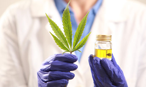 How to obtain a medical cannabis licence in Malta