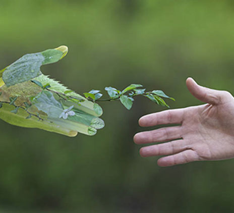 Government strategies to drive business sustainably